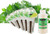 EZ-gro Cilantro Pre-Seeded Hydroponic Seed 6-Pod Kit with non-GMO OASIS Substrates sponges for fresh, slow-bolt cilantro growth.