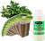 EZ-GRO Cilantro Pre-Seeded Hydroponic Seed 9-Pod Kit with non-GMO OASIS Substrates sponges for fresh, slow-bolt cilantro growth.