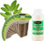 EZ-GRO Culinary Sage hydroponic seed 12-pod kit with non-GMO, pre-seeded OASIS Substrates sponges for fresh sage growth.