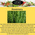 EZ-GRO Rosemary Pod Kit with non-GMO seeds and OASIS Substrates. Pre-seeded pods with nutrients for fast hydroponic herb growth.