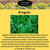 EZ-gro Arugula Organic Slow Bolt seeds shown with product branding, ideal for fast-growing hydroponic leafy greens