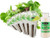 EZ-gro Arugula Pre-Seeded Hydroponic Seed 12-Pod Kit with OASIS Substrates, nutrient bottle, and germination domes.