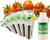 EZ-gro Tiny Tim Dwarf Tomato pre-seeded hydroponic pod kit with OASIS Substrates, nutrients, and domes.