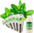 EZ-gro Common Mint pre-seeded hydroponic seed 3-pods kit with Oasis substrate for indoor growing