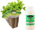 EZ-GRO Italian Oregano pre-seeded 3-pod kit made with Oasis® substrates for hydroponic growing systems