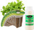 EZ-GRO Italian Oregano pre-seeded pod kit made with Oasis® substrates for hydroponic growing systems