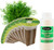 EZ-GRO Dwarf Dill pre-seeded hydroponic seed pod kit with 9-pods and Oasis® grow sponges for indoor growing