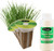 EZ-GRO Culinary Garlic Chive pre-seeded pod kit made with Oasis® substrates for hydroponic growing systems