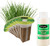 EZ-GRO Culinary Garlic Chive pre-seeded pod kit made with Oasis® substrates for hydroponic growing systems