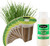 EZ-GRO Culinary Garlic Chive pre-seeded 12-pod kit made with Oasis® substrates for hydroponic growing systems