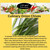 EZ-GRO Culinary Onion pod Chives with slender green tubular leaves, mild onion flavor herb, easy-to-grow plant for hydroponic systems