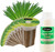 EZ-GRO Culinary Onion Chives pre-seeded 9-pod kit made with Oasis® substrates for hydroponic growing systems