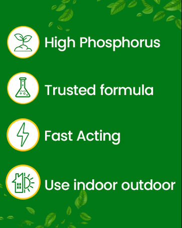 about ez-gro success