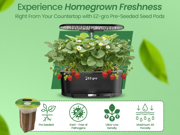 Fresh homegrown Alexandria Strawberry flat leaf parsley grown indoors using EZ-gro hydroponic 3-pods