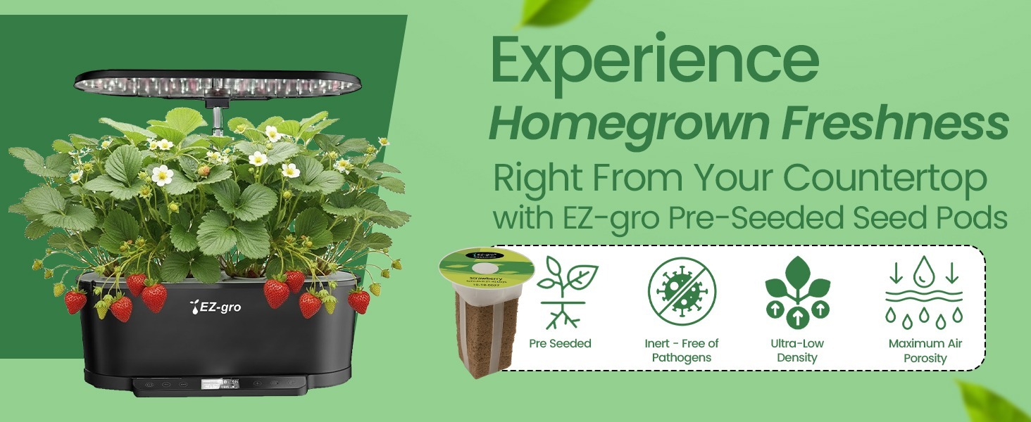 Fresh homegrown Alexandria strawberries grown indoors using EZ-gro hydroponic seed 6-pods