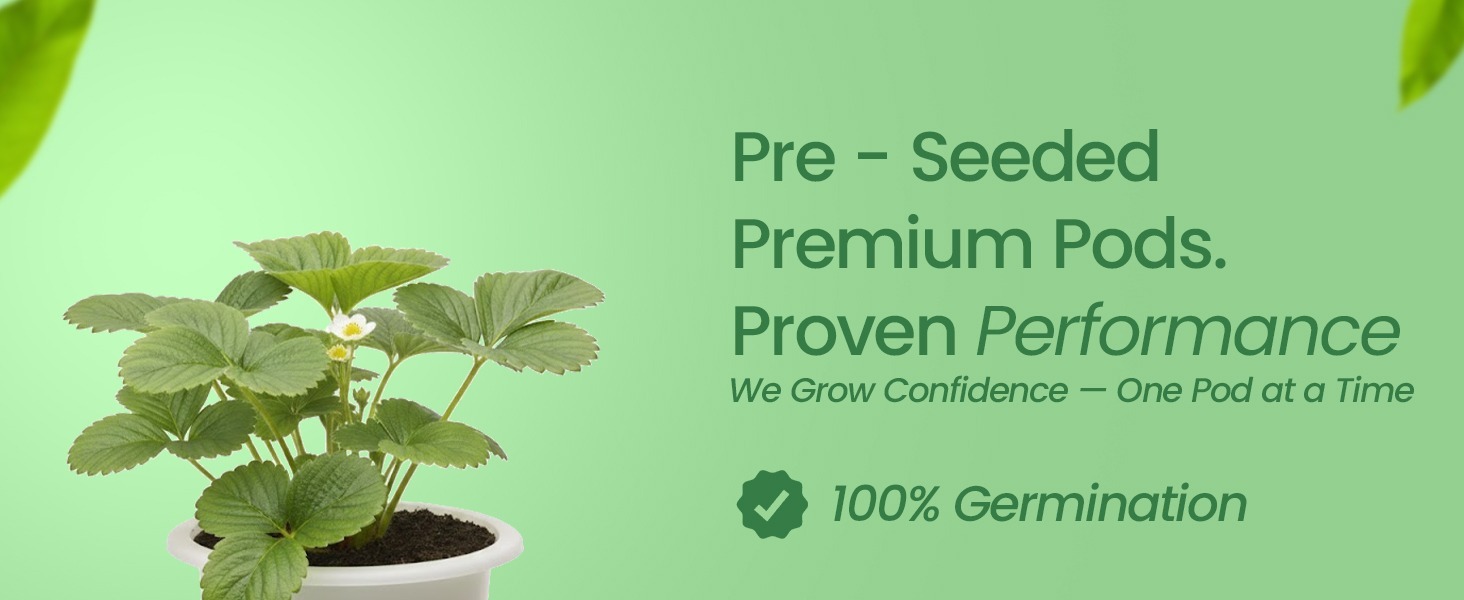 EZ-gro Alexandria strawberry pre-seeded premium hydroponic 6-pods with Oasis substrate