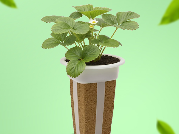 Simple sustainable indoor herb gardening with EZ-gro Alexandria Strawberry hydroponic 3-pods