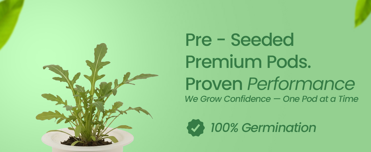 EZ-gro Arugula premium pre-seeded 3-pods made with Oasis® sponge growing media