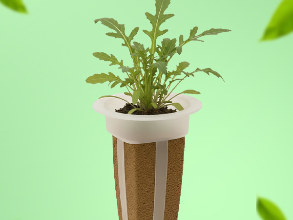 EZ-gro Arugula simple and sustainable gardening with GMO-free pre-seeded 6-pods