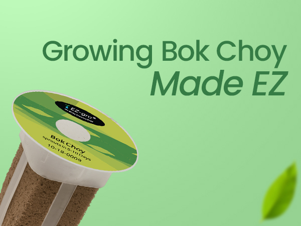EZ-gro Bok Choy 3-pods kit designed for easy and successful growing