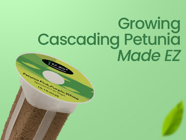 EZ-gro Cascading Petunia 6-pod hydroponic growing made easy for home gardeners