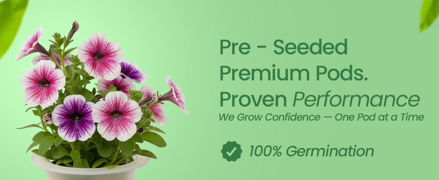 EZ-gro Cascading Petunia pre-seeded premium hydroponic 3-pods made with OASIS grow sponges