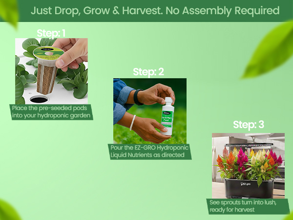 EZ-gro Celosia Rainbow drop, grow, and harvest pre-seeded 3-pods for easy hydroponic gardening