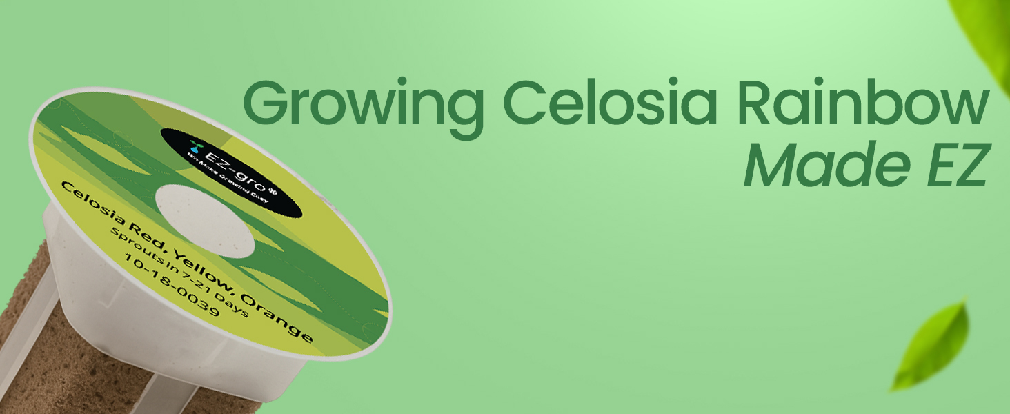 EZ-gro Celosia Rainbow growing made EZ with no-assembly pre-seeded hydroponic 3-pods