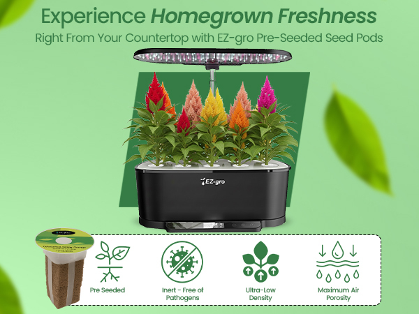 EZ-gro Celosia Rainbow 3-pod homegrown flowers grown fresh in a soil-free hydroponic garden