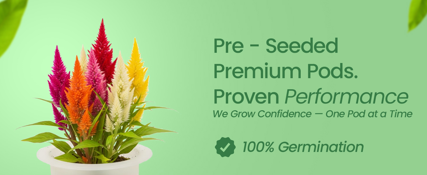 EZ-gro Celosia Rainbow premium pre-seeded 9-pods made with Oasis® substrates