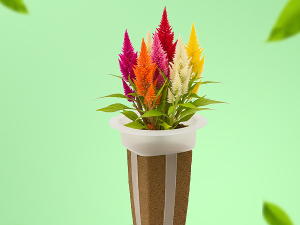 EZ-gro Celosia Rainbow simple and sustainable gardening with GMO-free pre-seeded 9-pods