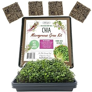 ez-gro-chia