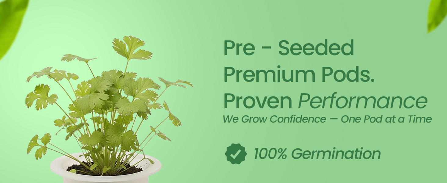 EZ-gro Cilantro premium pre-seeded 3-pods made with Oasis® sponge growing media