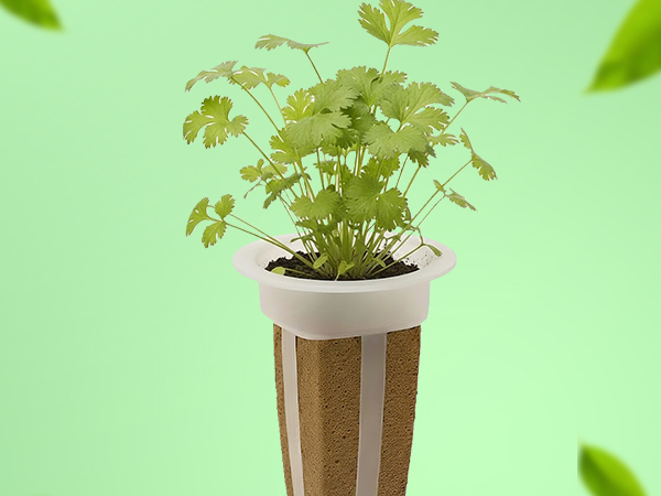 EZ-gro Cilantro simple and sustainable gardening with GMO-free pre-seeded 3-pods