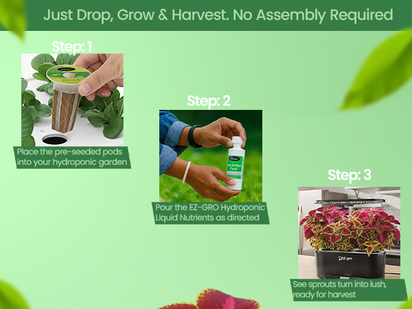 EZ-gro Colorful Coleus drop-in pre-seeded 9-pods showing simple drop, grow, and enjoy hydroponic gardening