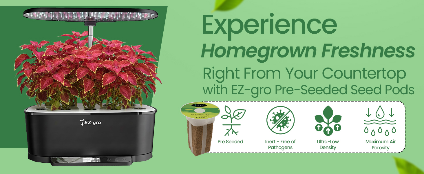 Freshly grown colorful coleus 3-pod plants thriving in a soil-free EZ-gro hydroponic garden