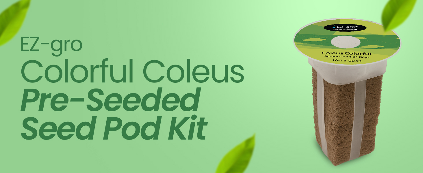 EZ-gro Colorful Coleus pre-seeded seed 3-pod kit with 3 soil-free pods using Oasis® sponges for hydroponic systems