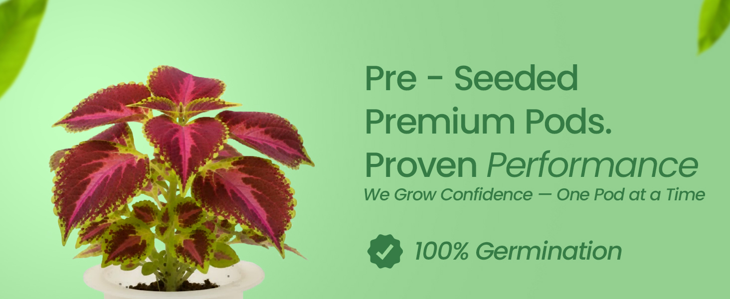 Premium EZ-gro Colorful Coleus pre-seeded 3-pods made with Oasis® substrates for strong root growth