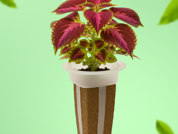 Simple and sustainable hydroponic gardening with EZ-gro Colorful Coleus pre-seeded seed 3-pods
