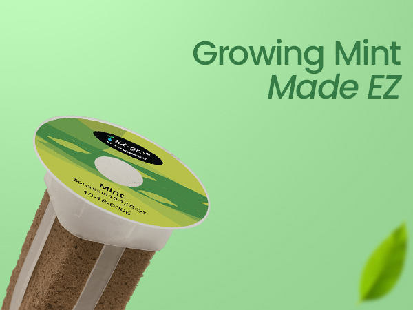 EZ-gro Common Mint 6-pod hydroponic growing made easy for home gardeners