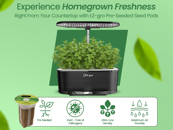 Fresh homegrown Common Mint grown indoors using EZ-gro hydroponic 3-pods