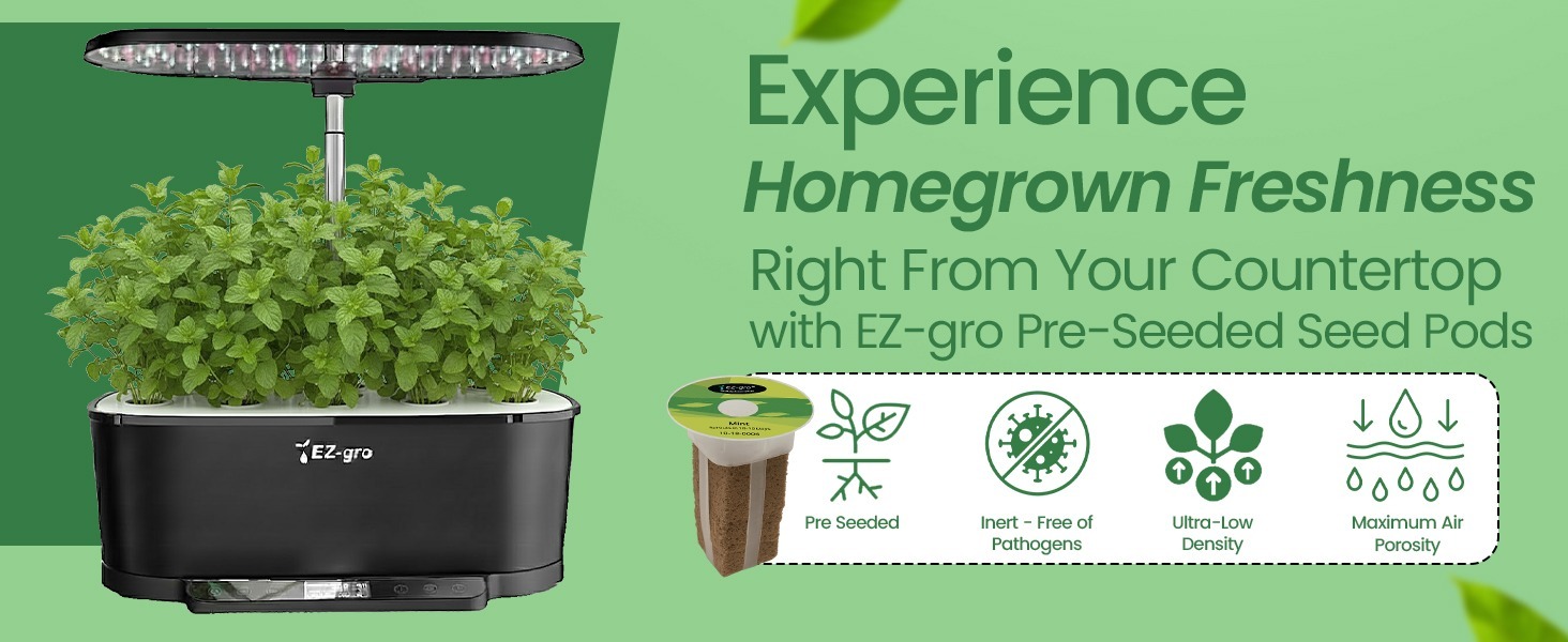 Fresh homegrown Common Mint grown indoors using EZ-gro hydroponic seed 6-pods