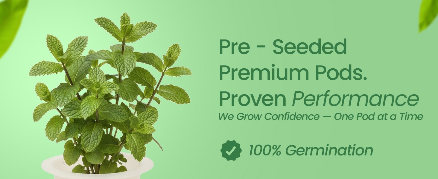 EZ-gro Common Mint pre-seeded premium hydroponic 6-pods made with Oasis grow sponges
