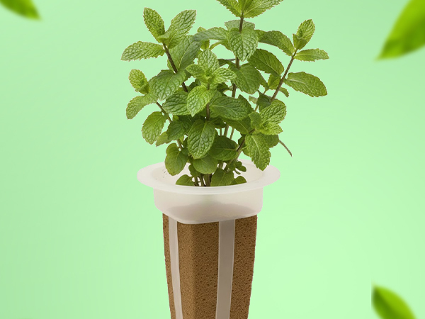 Simple sustainable indoor herb gardening with EZ-gro Common Mint hydroponic 6-pods