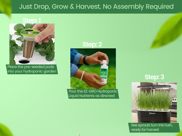 Drop, grow, and harvest EZ-gro Culinary Garlic Chives 3-pod hydroponic kit with no assembly required