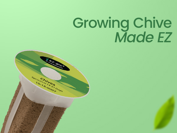 Growing made EZ with EZ-gro Culinary Garlic Chives pre-seeded 3-pod hydroponic kit