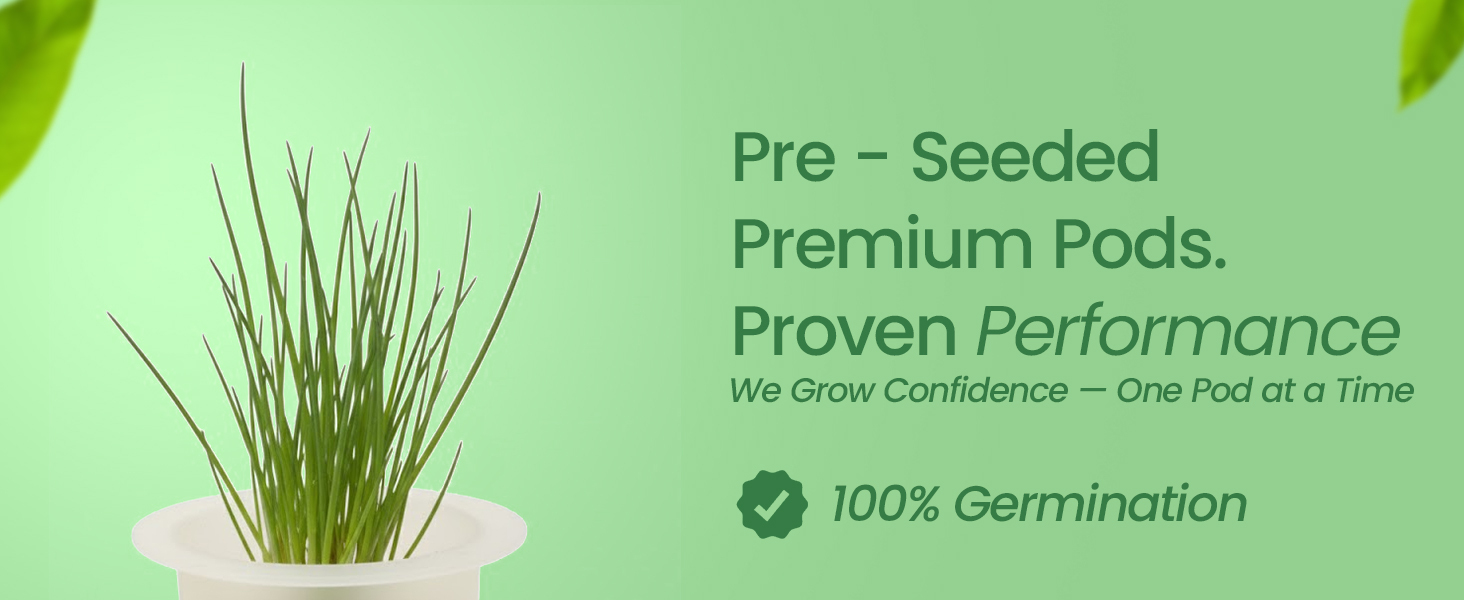 EZ-gro Culinary Garlic Chives pre-seeded premium 12-pods using Oasis® grow sponges, no polyurethane foam