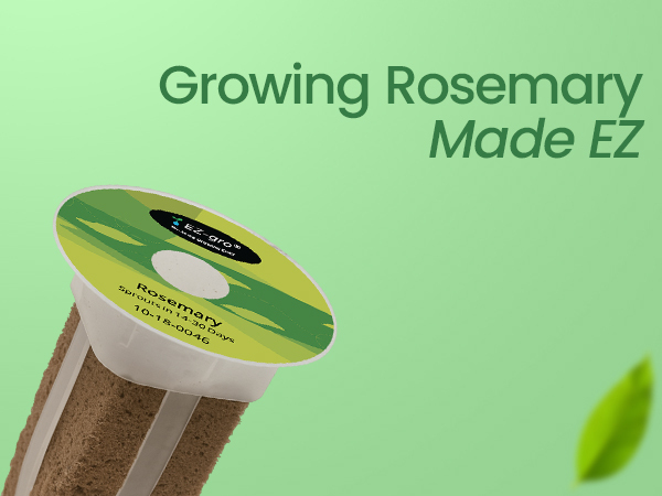 EZ-gro Culinary Rosemary growing made EZ with no-assembly pre-seeded hydroponic 6-pods