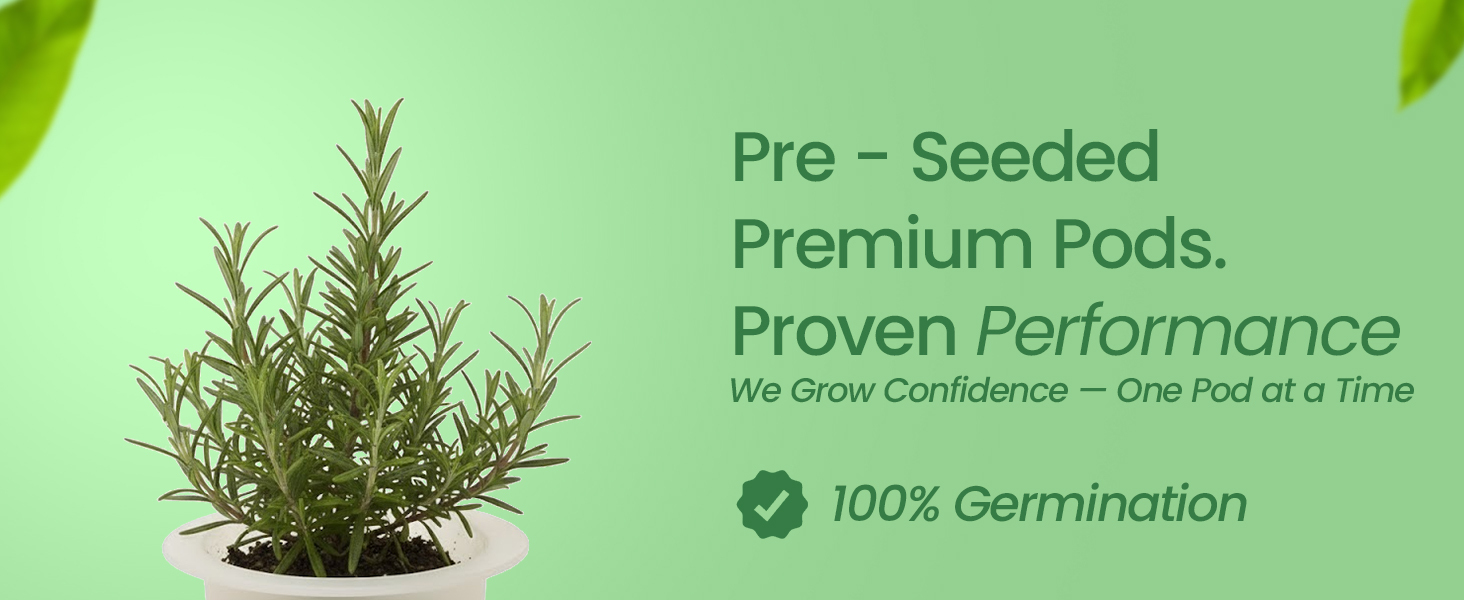 EZ-gro Culinary Rosemary premium pre-seeded 3-pods made with Oasis® sponge growing media