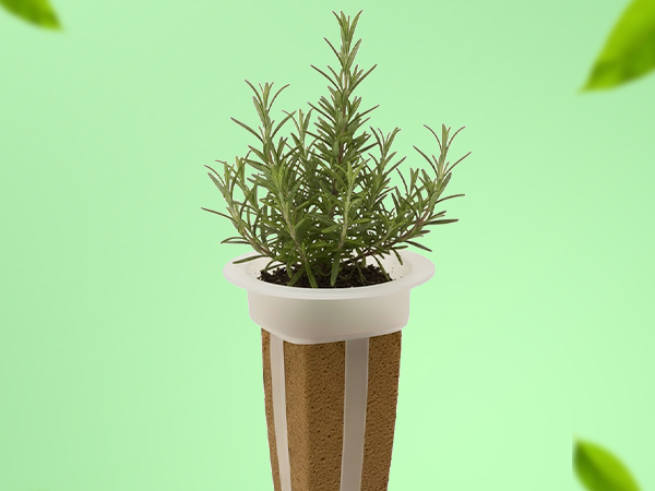 EZ-gro Culinary Rosemary simple and sustainable gardening with GMO-free pre-seeded 3-pods